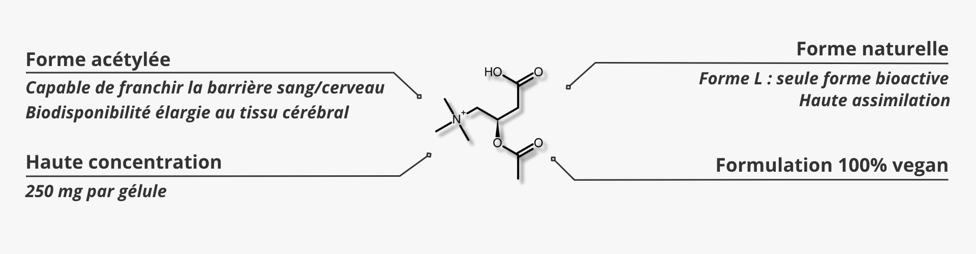 Les atouts de l'Acétyl-L-carnitine nutrixeal